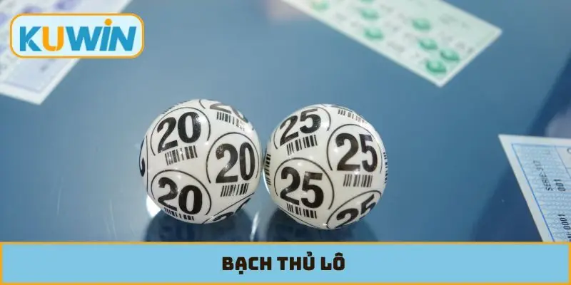 Bạch Thủ Lô
