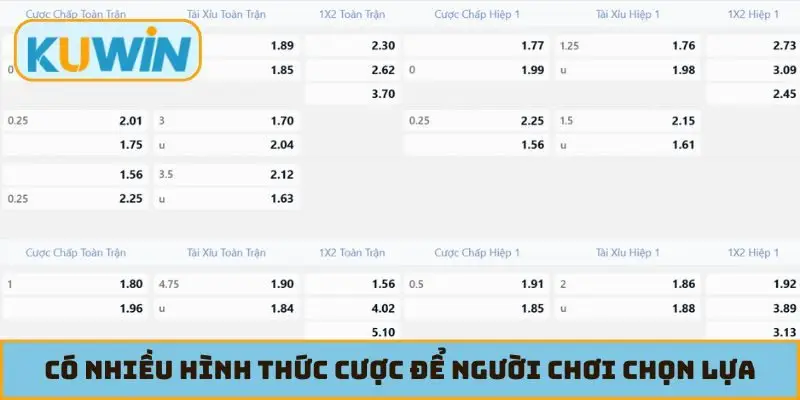 Có nhiều hình thức cược để người chơi chọn lựa
