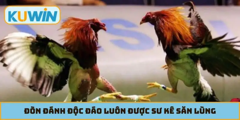 Đòn đánh độc đáo luôn được sư kê săn lùng và huấn luyện