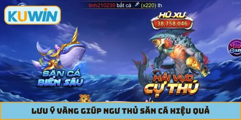 Lưu ý vàng giúp ngư thủ săn cá hiệu quả