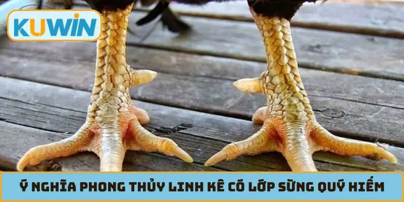 Ý nghĩa phong thủy linh kê có lớp sừng quý hiếm
